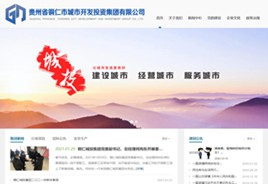 沿河县城市开发投资集团有限公司