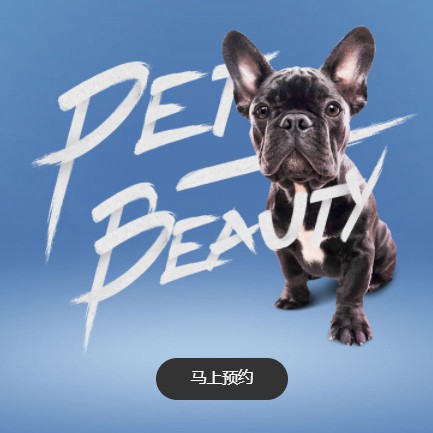 沿河县宠物中心小程序开发